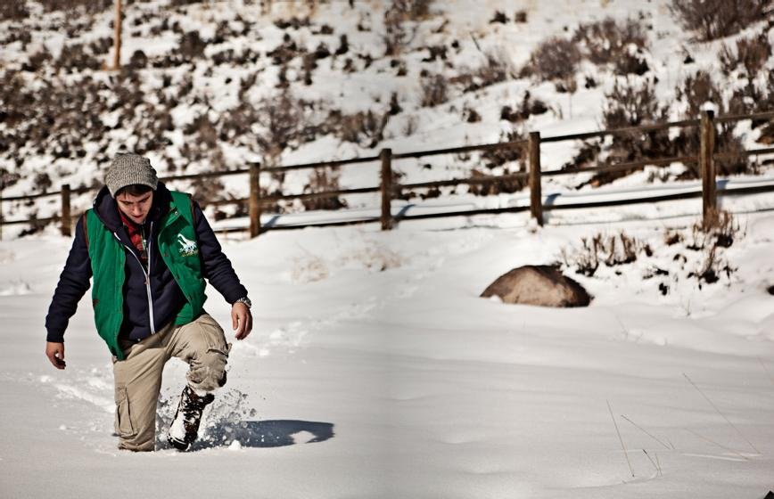 LRG collection 2010